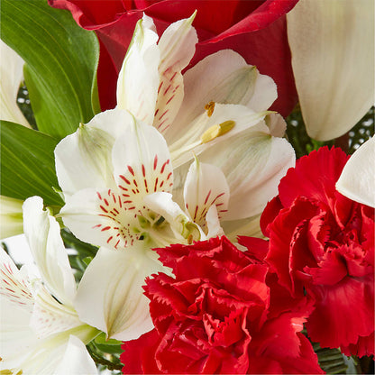 Holiday Season Bouquet –  Mary Blooms Florist, Port Saint Lucie FL
