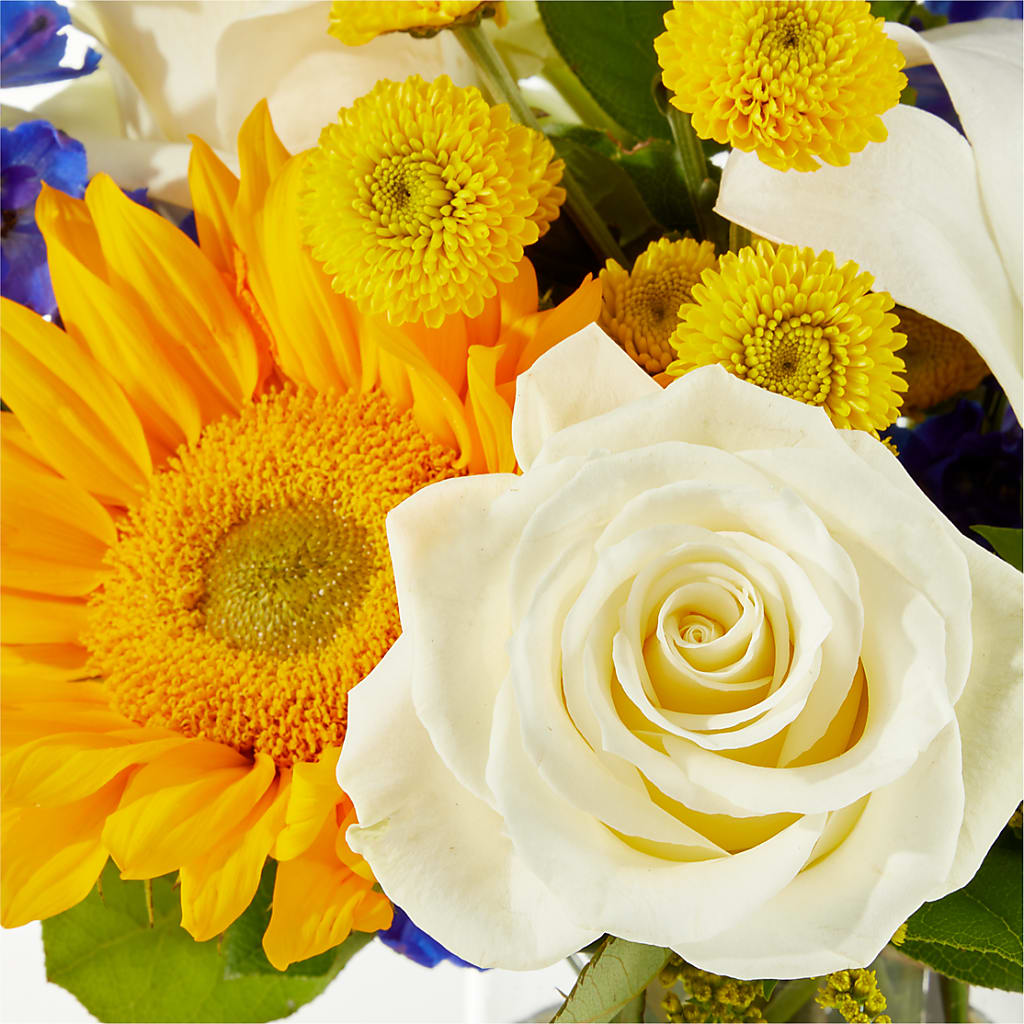 Stargazing Bouquet –  Mary Blooms Florist, Port Saint Lucie FL