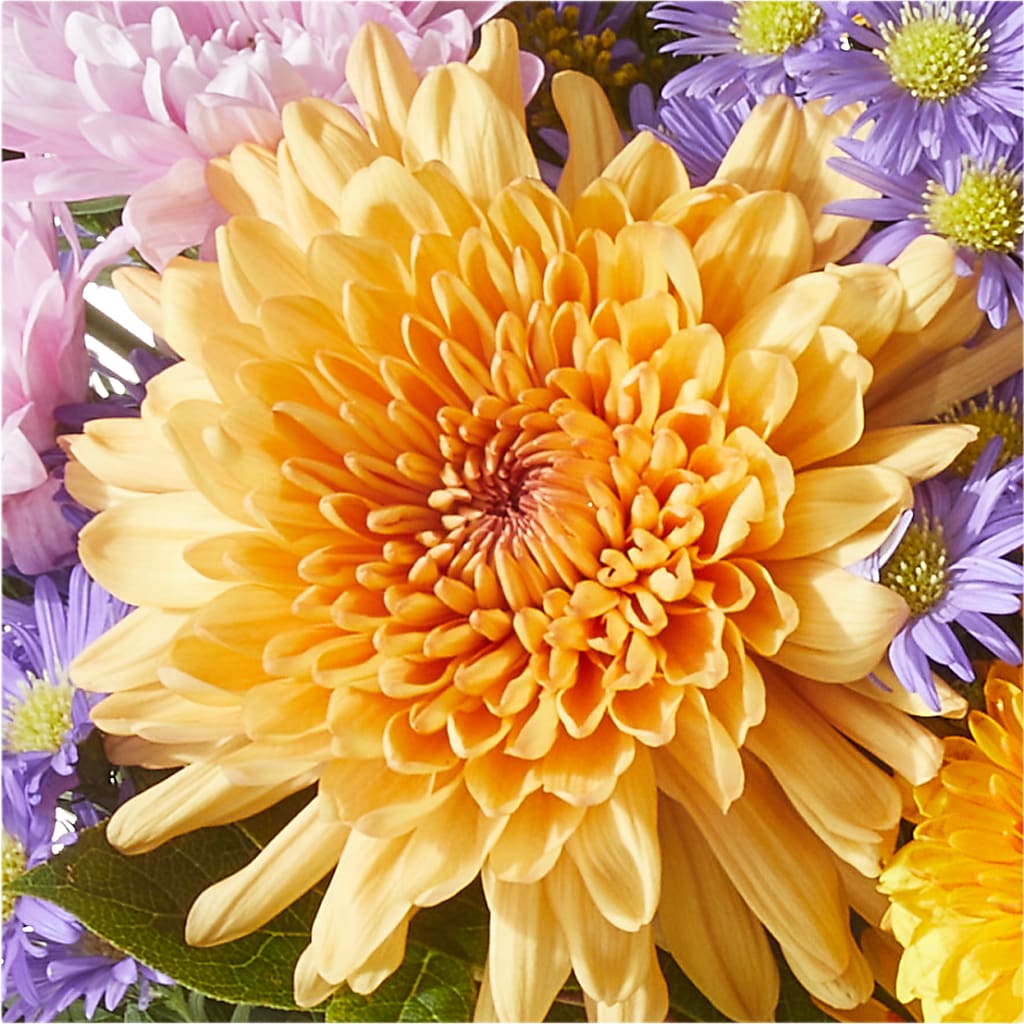 Countryside Bouquet –  Mary Blooms Florist, Port Saint Lucie FL