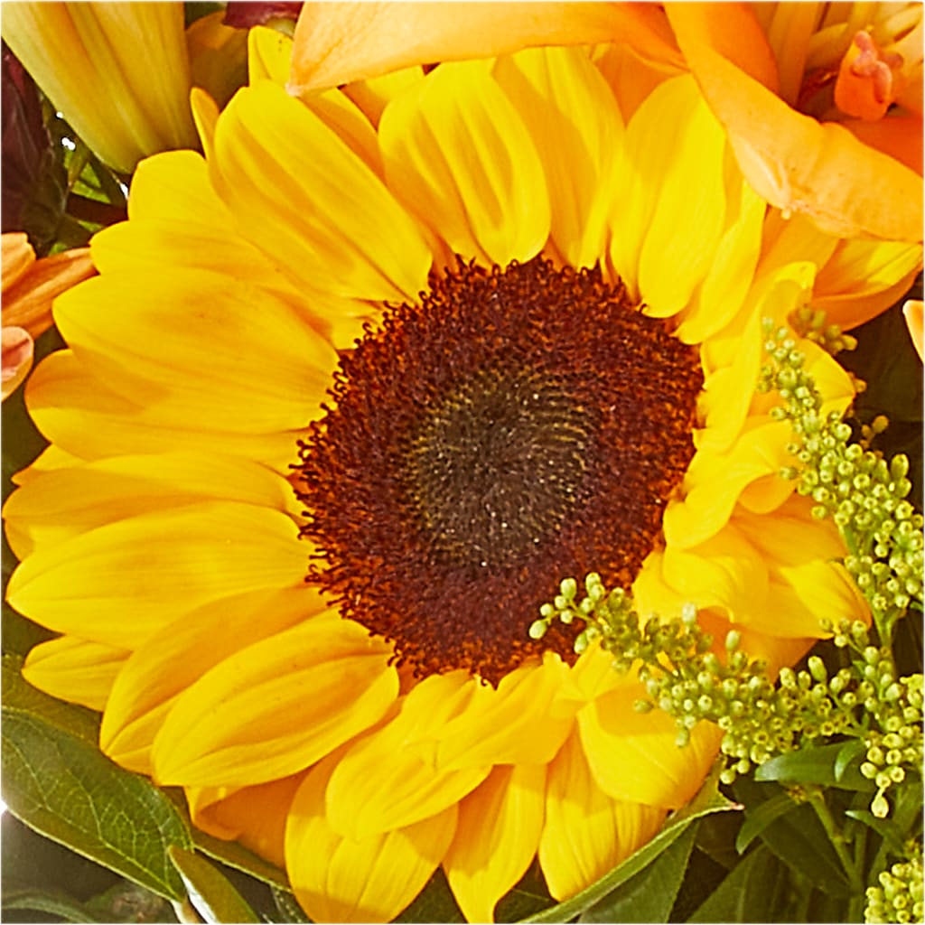 Seasons Change Bouquet –  Mary Blooms Florist, Port Saint Lucie FL