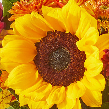 Sunny Side Bouquet –  Mary Blooms Florist, Port Saint Lucie FL