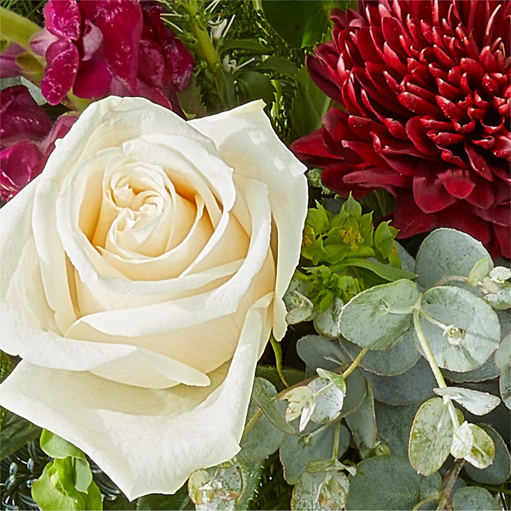 Cranberry Fizz Bouquet –  Mary Blooms Florist, Port Saint Lucie FL