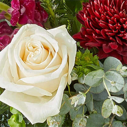 Cranberry Fizz Bouquet –  Mary Blooms Florist, Port Saint Lucie FL