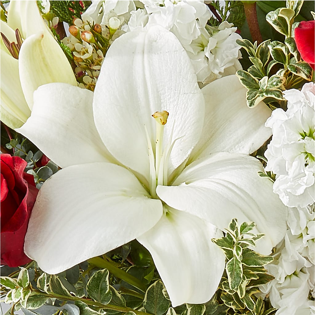 Twinkle Lights Bouquet –  Mary Blooms Florist, Port Saint Lucie FL