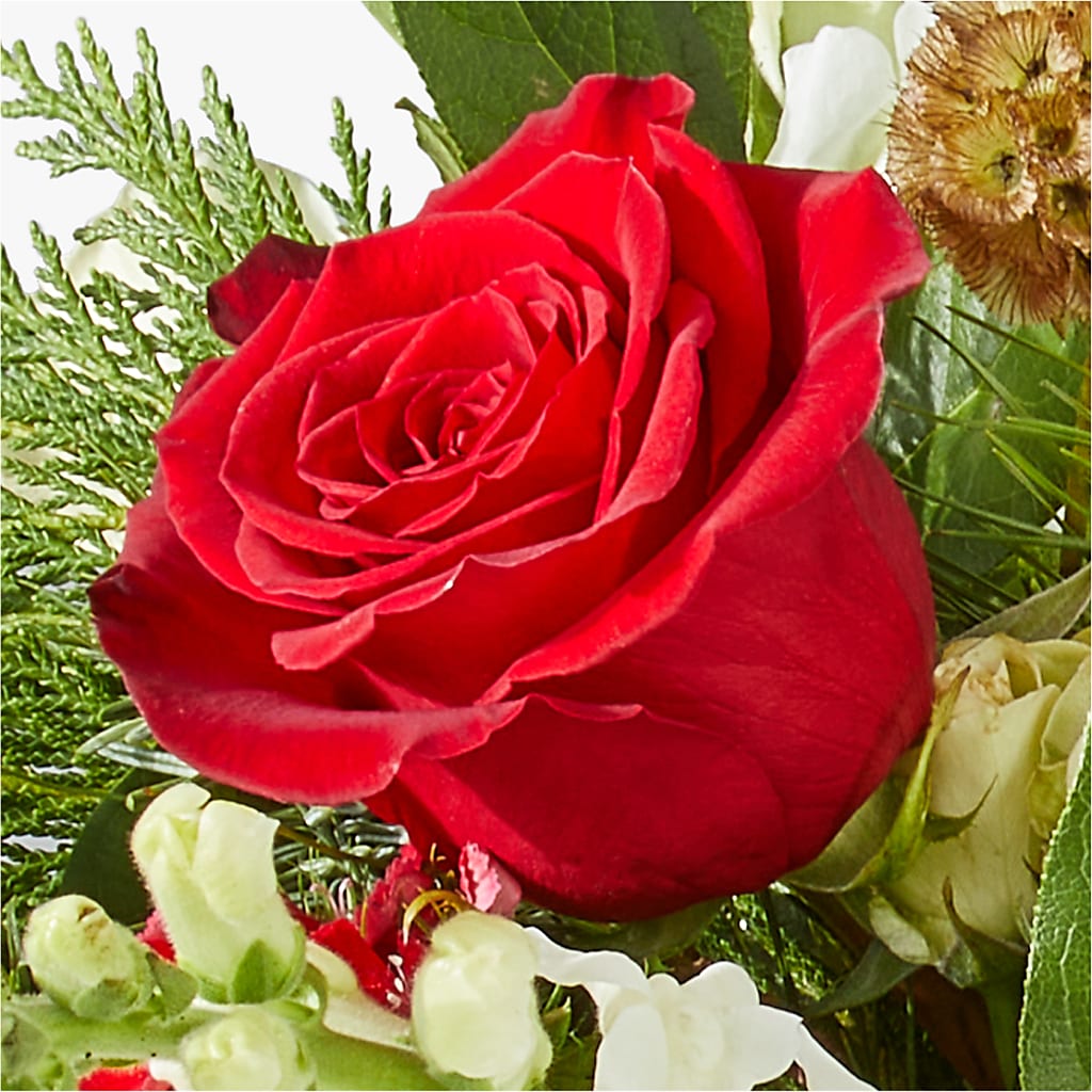 Deck the Halls Bouquet –  Mary Blooms Florist, Port Saint Lucie FL