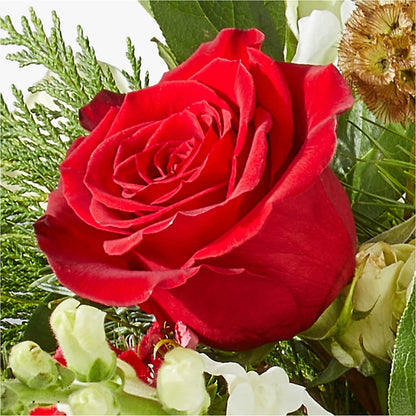 Deck the Halls Bouquet –  Mary Blooms Florist, Port Saint Lucie FL