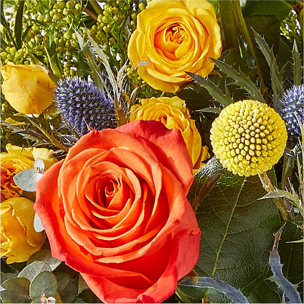 Disco Bouquet –  Mary Blooms Florist, Port Saint Lucie FL