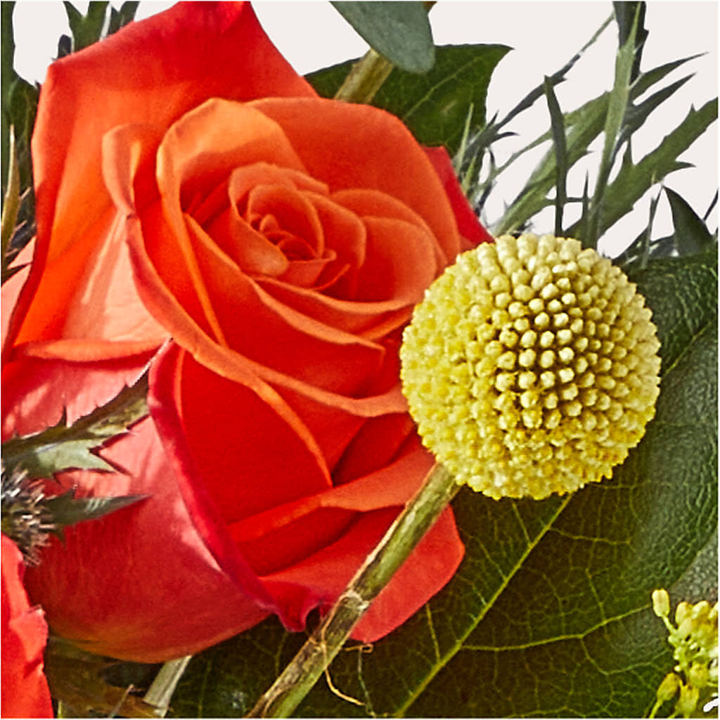 Disco Bouquet –  Mary Blooms Florist, Port Saint Lucie FL