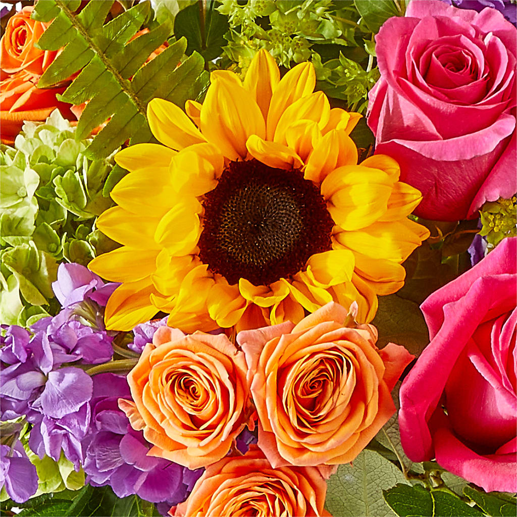 Vibrant Greetings Bouquet –  Mary Blooms Florist, Port Saint Lucie FL