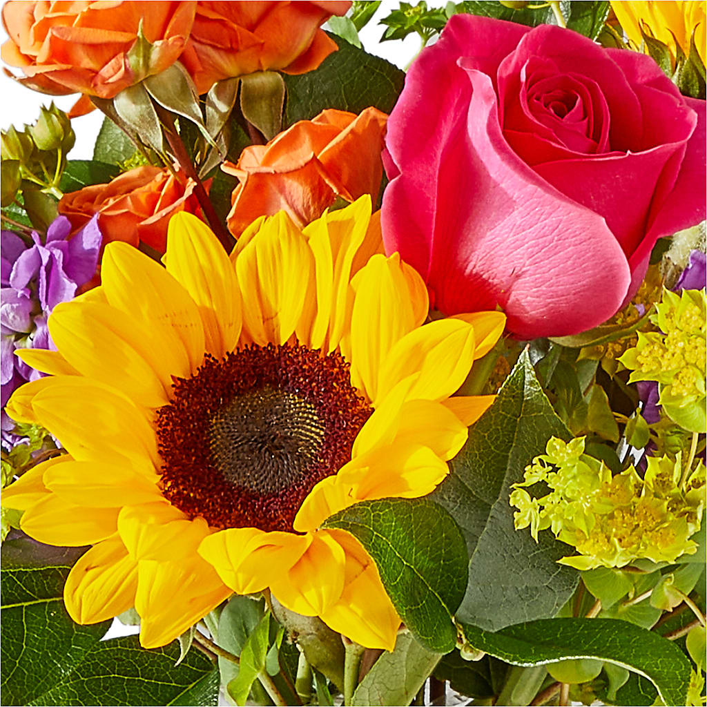 Vibrant Greetings Bouquet –  Mary Blooms Florist, Port Saint Lucie FL