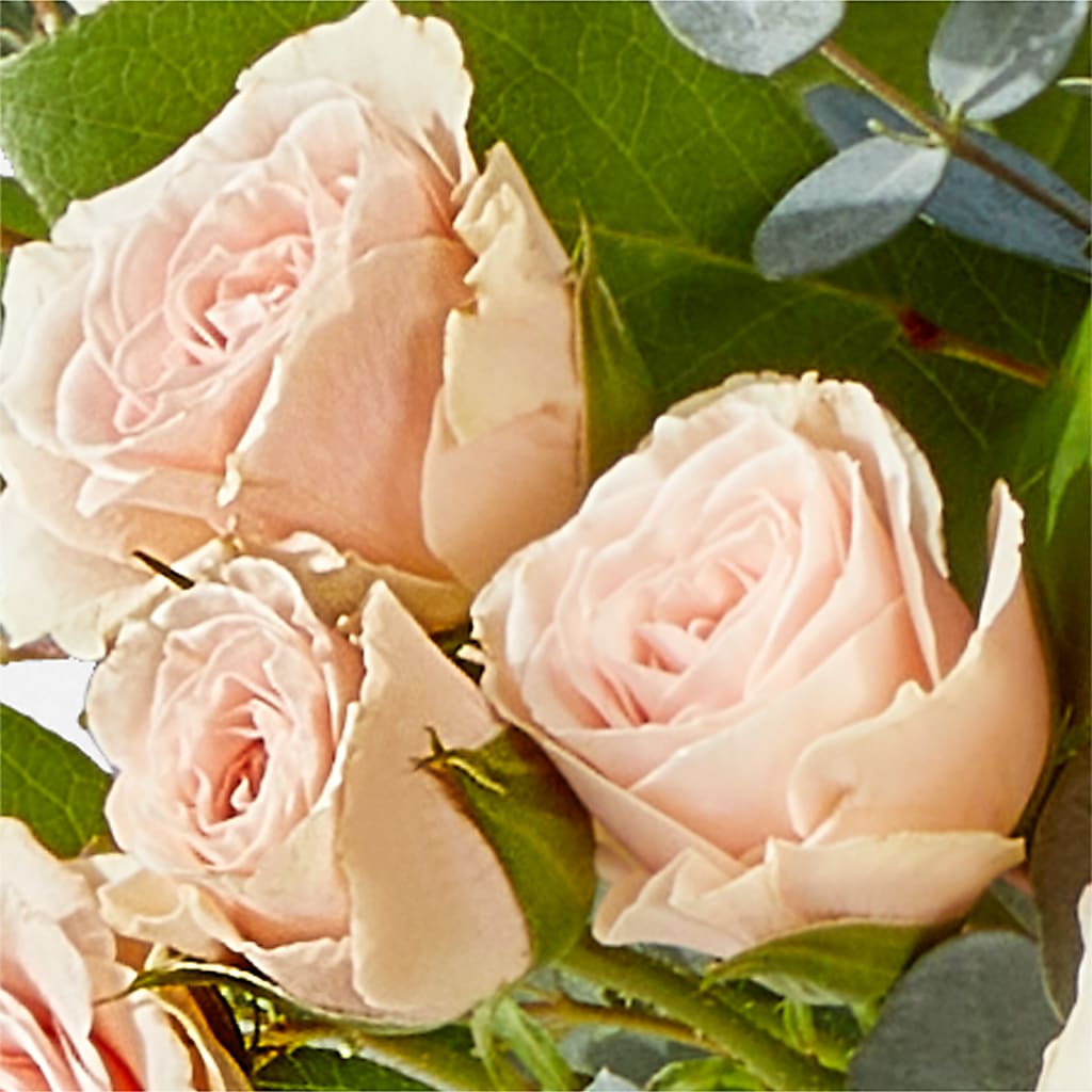 Inspired Bouquet –  Mary Blooms Florist, Port Saint Lucie FL
