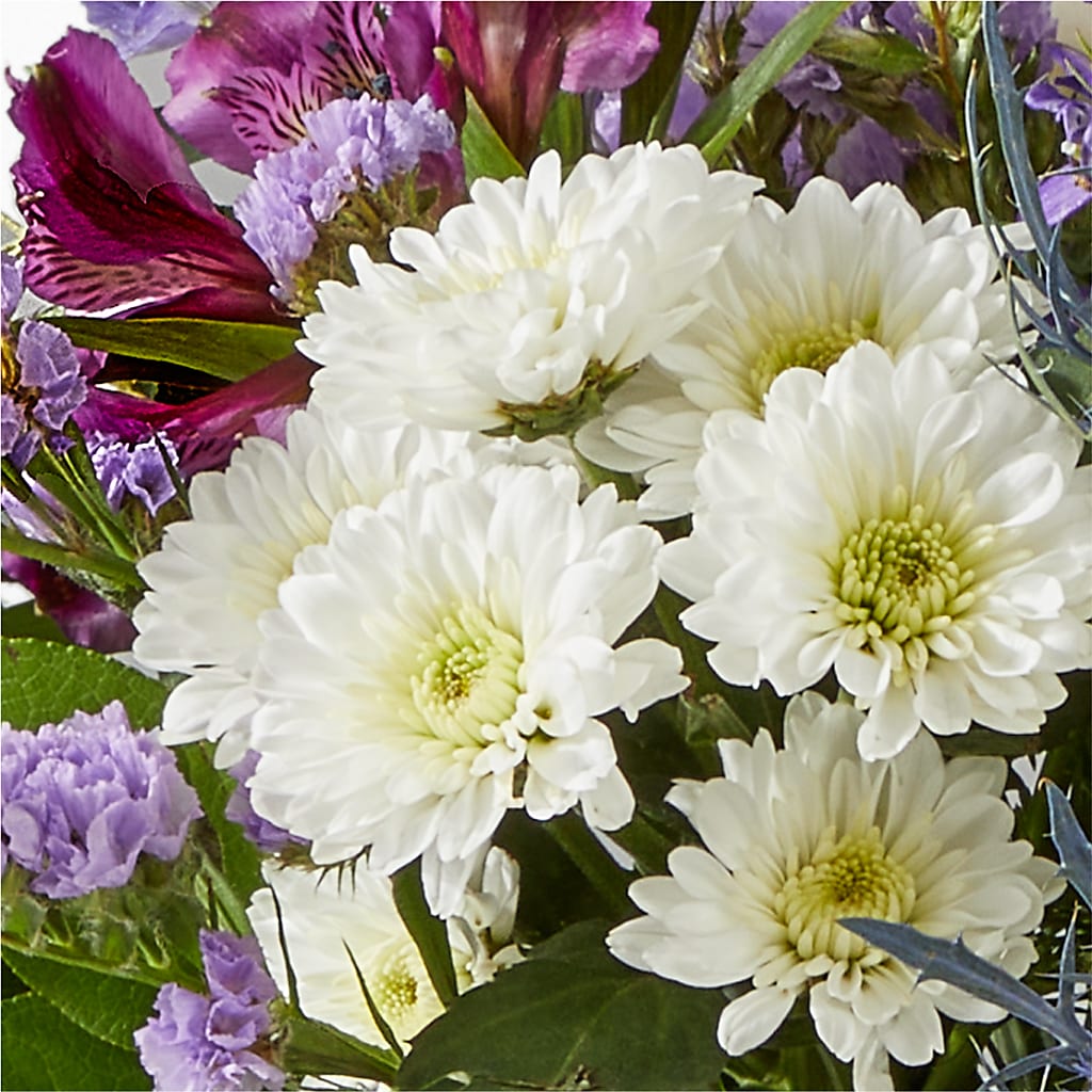 Shooting Star Bouquet –  Mary Blooms Florist, Port Saint Lucie FL