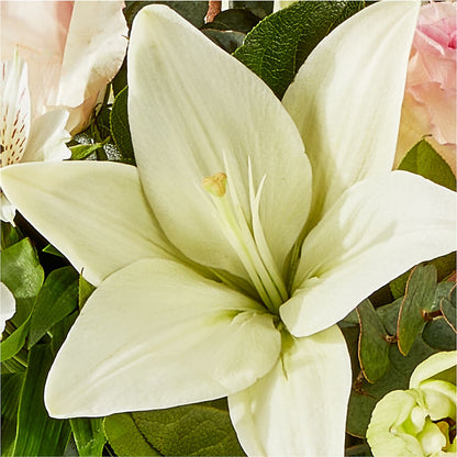 Ballet Slippers Bouquet –  Mary Blooms Florist, Port Saint Lucie FL