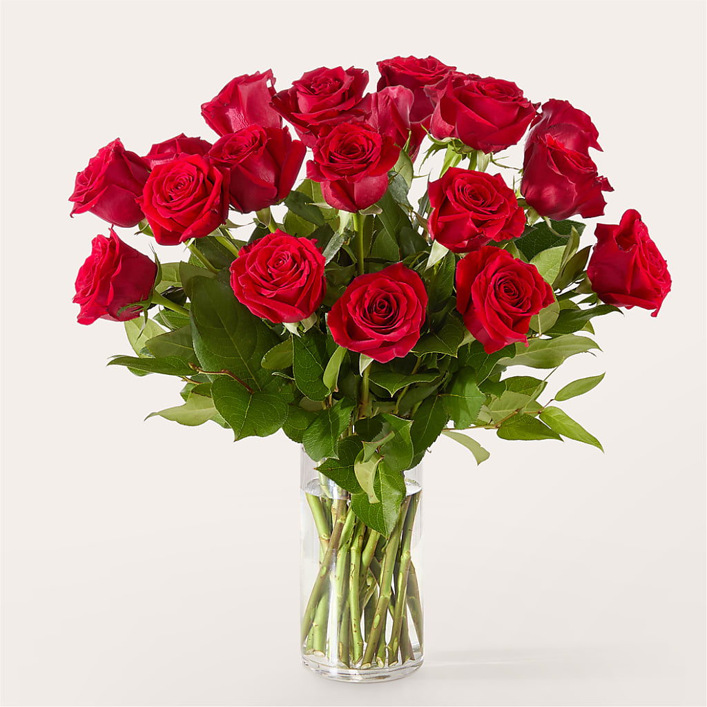 The One Red Rose Bouquet –  Mary Blooms Florist, Port Saint Lucie FL