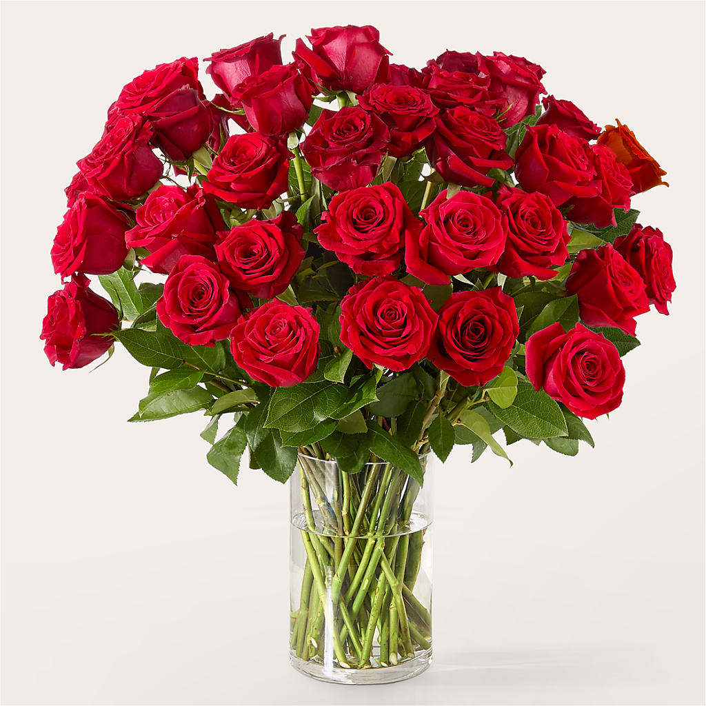 The One Red Rose Bouquet –  Mary Blooms Florist, Port Saint Lucie FL