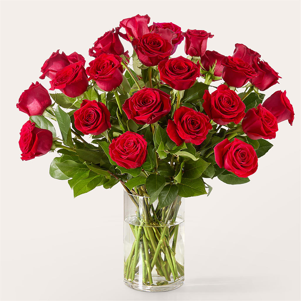 The One Red Rose Bouquet –  Mary Blooms Florist, Port Saint Lucie FL