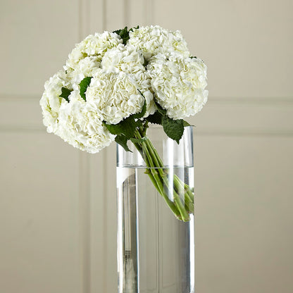 White Hydrangea Hand-Tied Bouquet –  Mary Blooms Florist, Port Saint Lucie FL