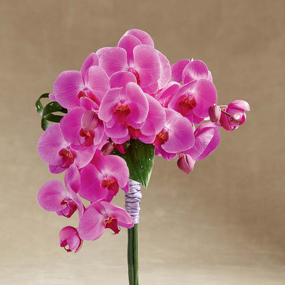 Glorious Bouquet –  Mary Blooms Florist, Port Saint Lucie FL