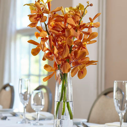 Orange Mokara Bud Vase –  Mary Blooms Florist, Port Saint Lucie FL