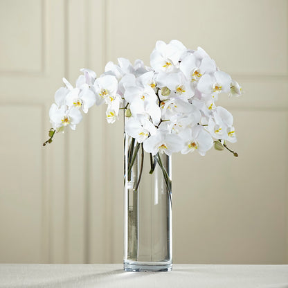 White Phalaenopsis Bouquet –  Mary Blooms Florist, Port Saint Lucie FL